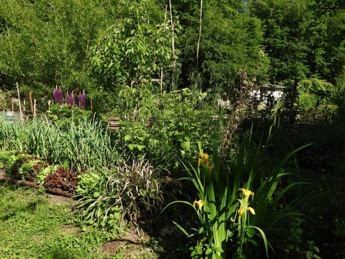 Le Jardin De Saint Jean Bed & Breakfast Exterior photo